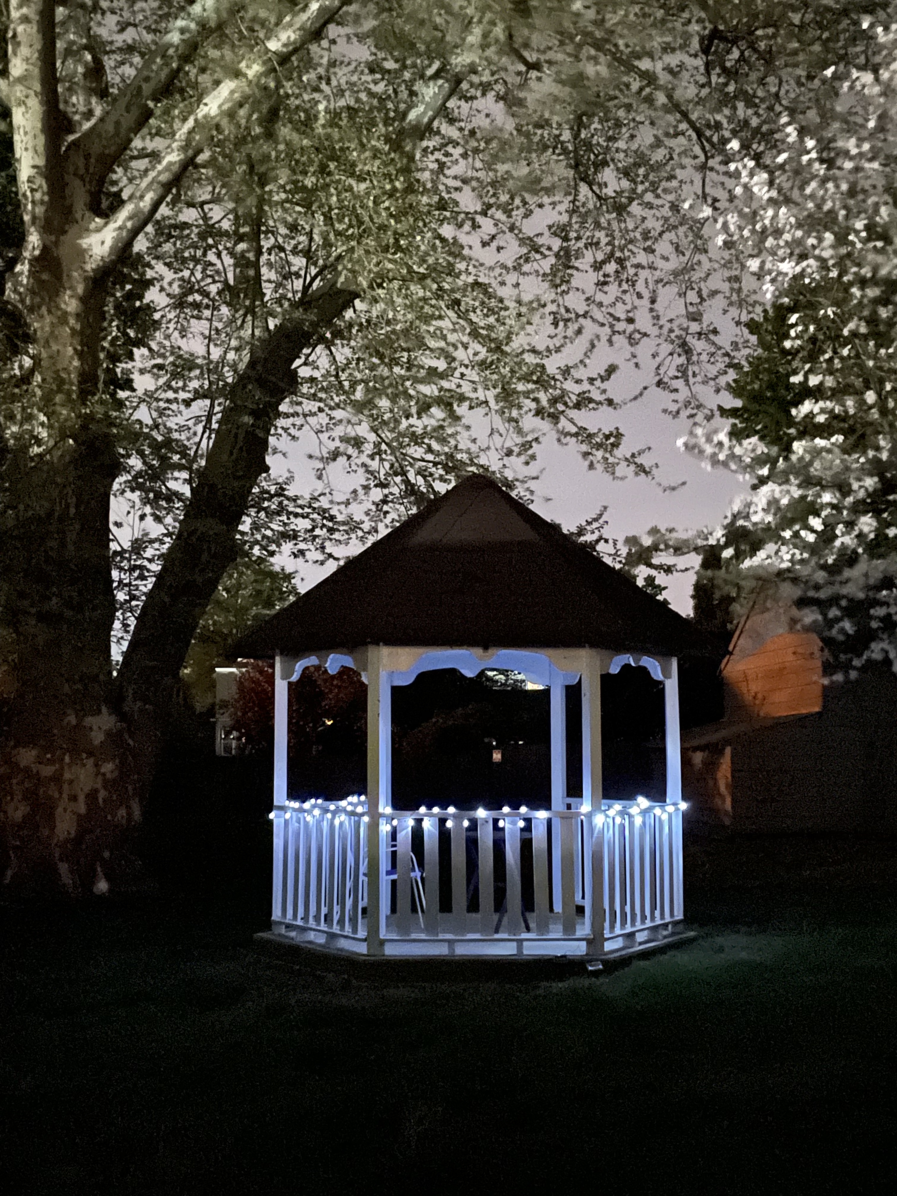 Gal with the Gray Home