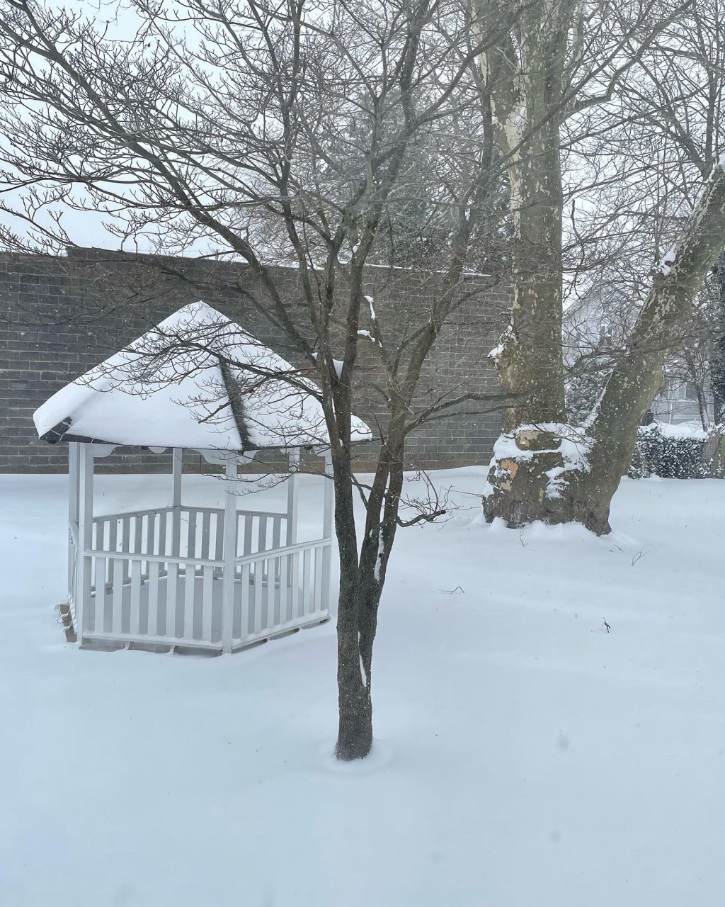 Snowbound, with a Mouse